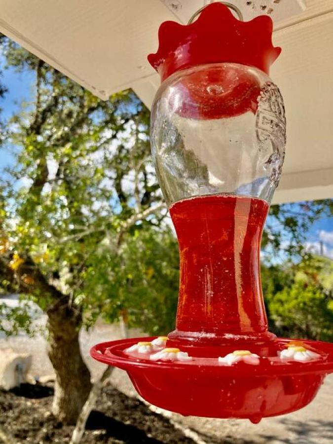 Willa Hummingbird Haus - Hill Country Views On 20 Acres With Firepit Spring Branch Zewnętrze zdjęcie